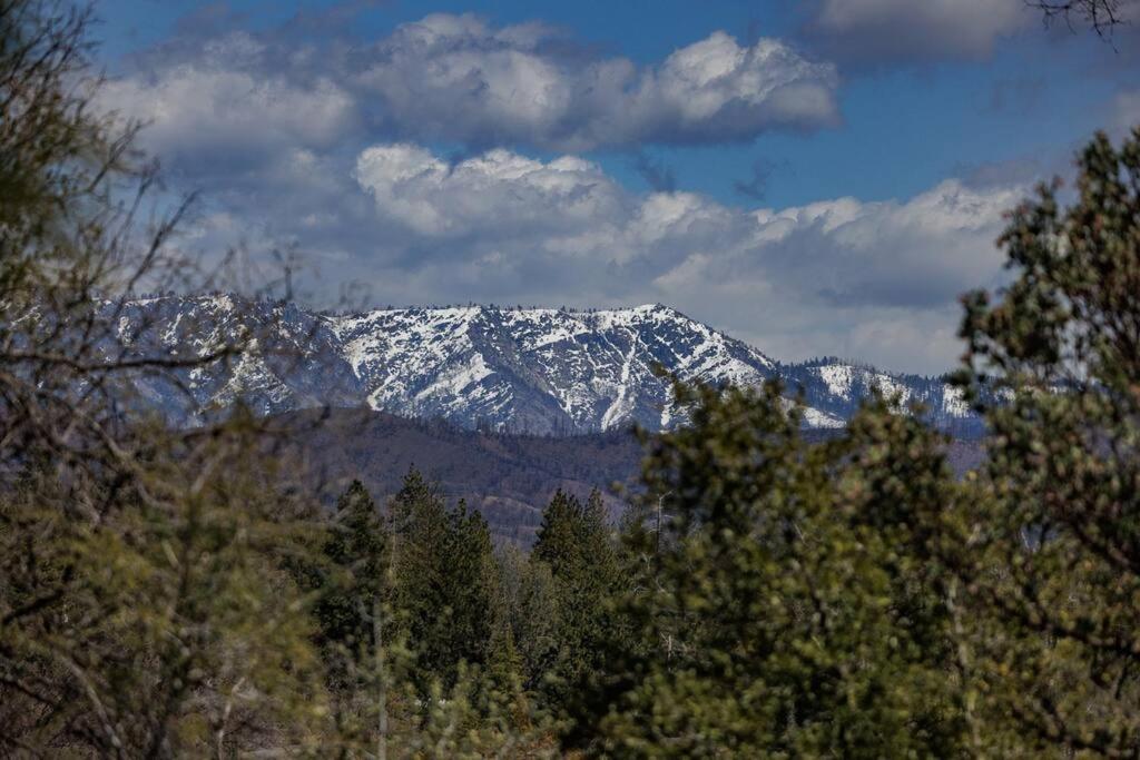 Cozy Cub Cabin, Brand New Home Near Yosemite Марипоса Екстериор снимка
